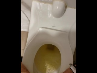 Short standing piss in rest stop toilet - ftm trans